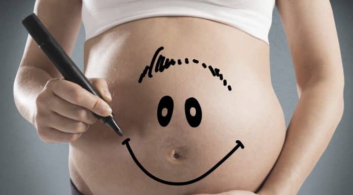 Una dieta materna alta en grasas no afecta igual al cerebro de hijos e hijas