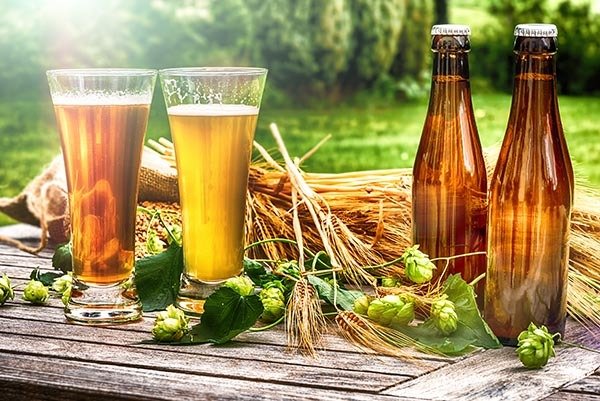 ¿Existe la cerveza vegana? Esto es lo que debes conocer La cerveza vegana