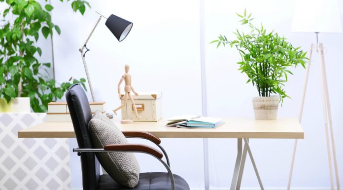 Una planta en el escritorio reduce el estrés de manera significativa